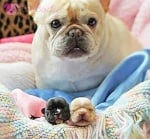 "Приспивам си дечицата"