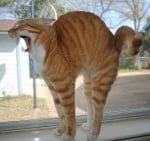 Прозявка с протягане