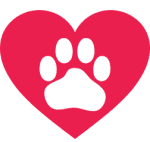 Пудел оцеля по чудо след сблъсък с кола