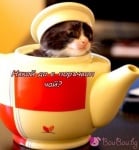 "Я! Чаят е готов!"