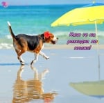 Разходка по плажа