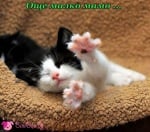 "Още малко мамо"