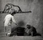 Сива котка с дете