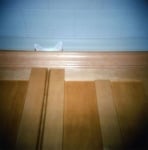 Скрита котка