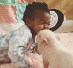 Сладки момиченце и прасенце