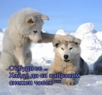 Днес ще правим снежен човек