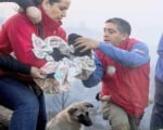 Спасителна акция за кученца