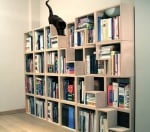 Стълбичка за котката от бибиотеката