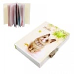 Таен дневник с катинар с шифър