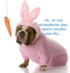 Тази година великденският заек излезе в отпуска и...