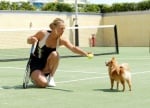 Тренировка на корта с Шарапова и померан