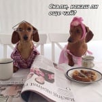 Семейна идилия