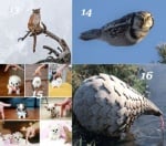 Удивителни факти за животните