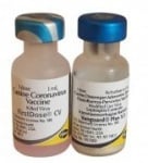 Вангард Плюс 7