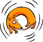 Защо някои кучета се въртят в кръг преди да легнат на земята