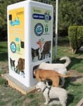 Вендинг машина храни бездомни кучета срещу изхвърлени пластмасови бутилки