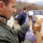 Ветеринарни лекари започват протести в Пловдив