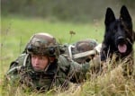 Военна мисия с куче