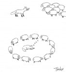 Вълк и овце