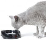 "Whisker water" - Съд за вода за персийски и британски породи