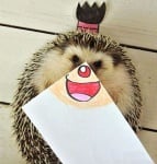 Забавни снимки на домашния любимец-1