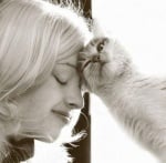 Защо котката си търка главата във Вас?