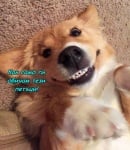 Здравей, прекрасен петък!