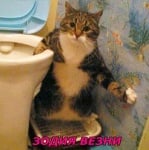 Зодия везни